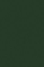 Ручной ковровая Дорожка COLIZEY P000 GREEN
